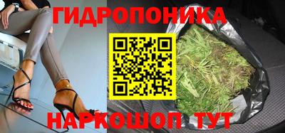 гашик Канаш